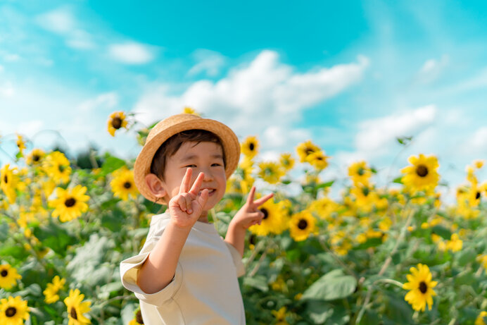 夏の思い出が笑ってる♪ひまわり畑に出かけよう【2023 関東