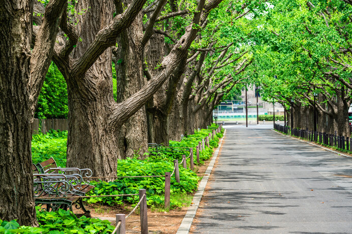 出張ランにもおすすめ！暑さを回避できる東京のランニングコース4選(季節・暮らしの話題 2023年07月28日) - 日本気象協会 tenki.jp