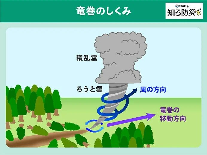 竜巻はどうやってできるの？