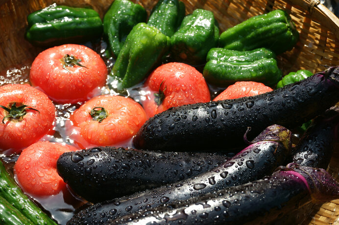 美味しく食べて夏バテを吹き飛ばす！3種の夏野菜をふんだんに使ったキャンプ飯