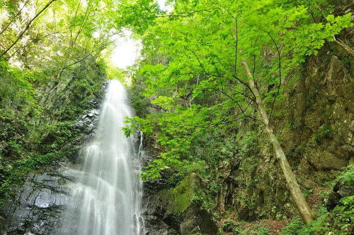 美しい渓谷に癒やされる登山コース