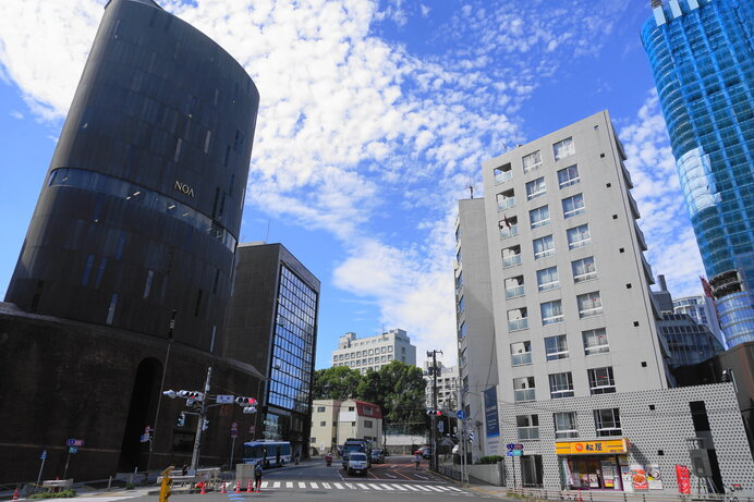 東京赤坂の都心部で、世界で初めてアオマツムシが認知されました