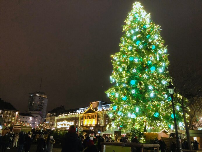 日本とはすこしちがう？フランスのクリスマス文化をご紹介(季節