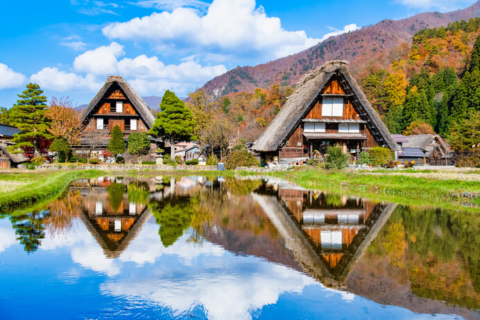 紅葉に彩ろられた田舎家観葉植物 - その他観葉植物