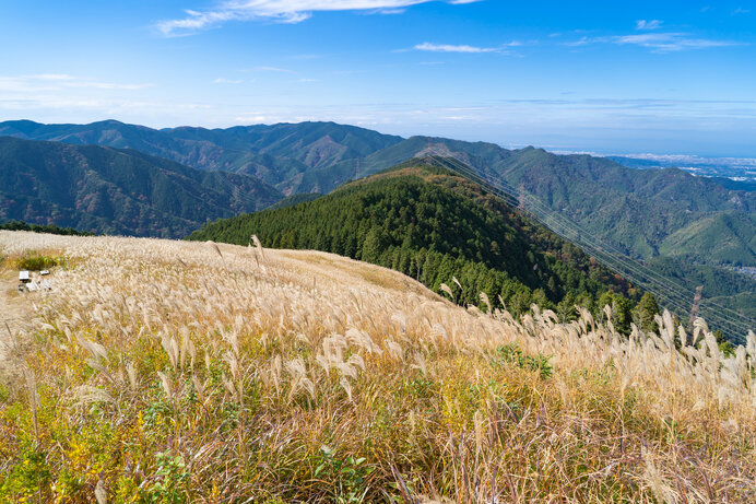 秋になると花すすきが一面に広がり非日常の空間を楽しめます