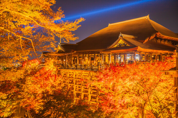 ライトアップも絶景！京都の紅葉に逢いに行こう＜近畿2023＞