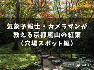 2023年版気象予報士カメラマンが教える京都嵐山の紅葉（穴場スポット編）