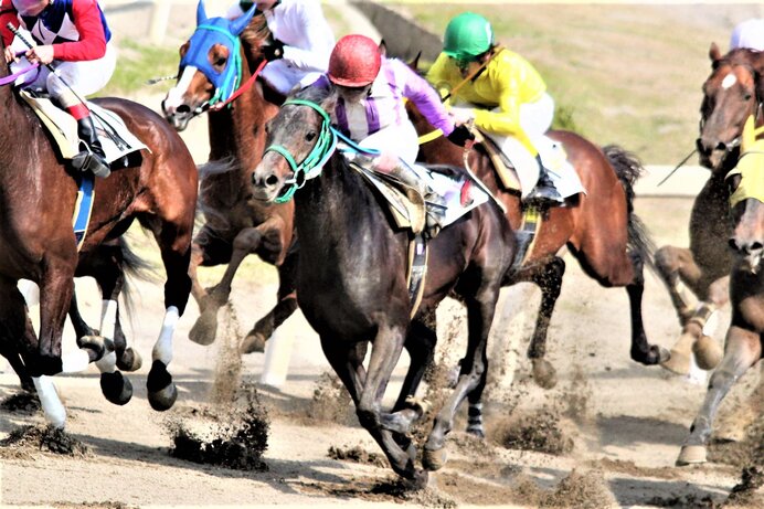 競馬の魅力