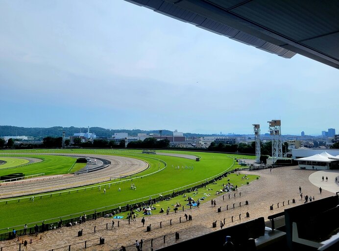 レース結果にも影響する「馬場状態」