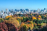 例年12月中旬まで楽しめる東京都内の紅葉狩りスポット4選