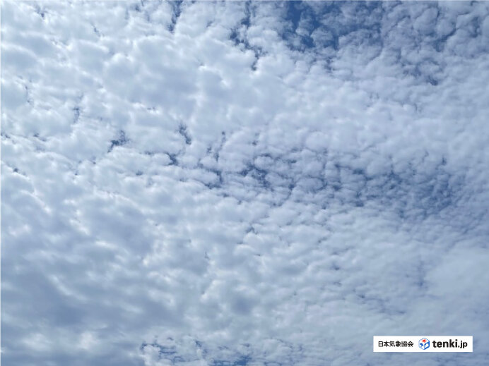 空一面に広がるひつじ雲