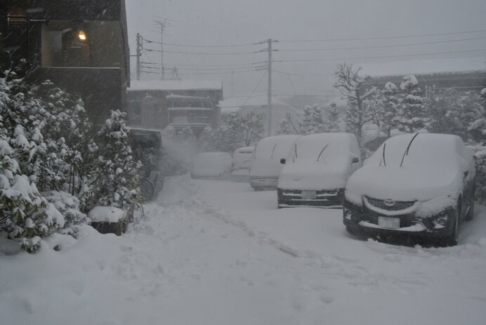 東京で大雪になるとこうなる