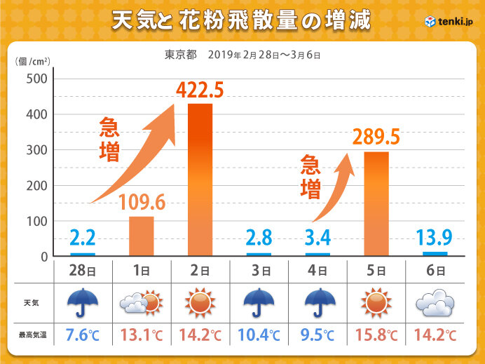 雨の翌日、晴れた場合は花粉飛散量が大幅増！