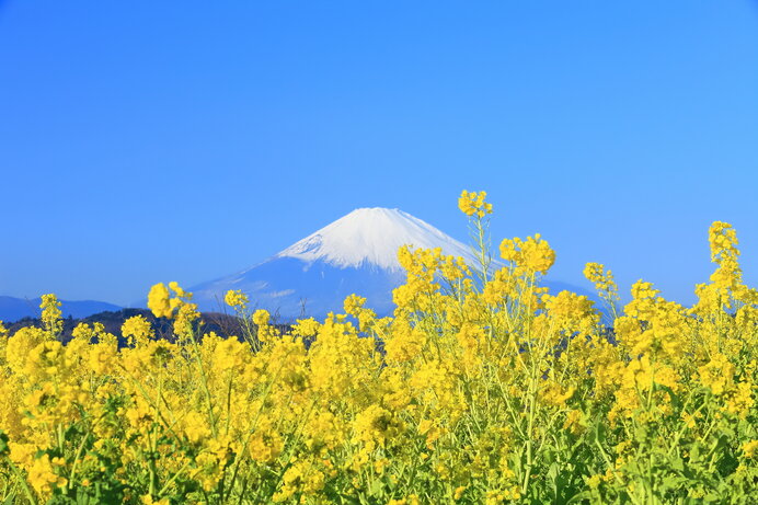 家族で遊べてハイキング気分で楽しめる低山