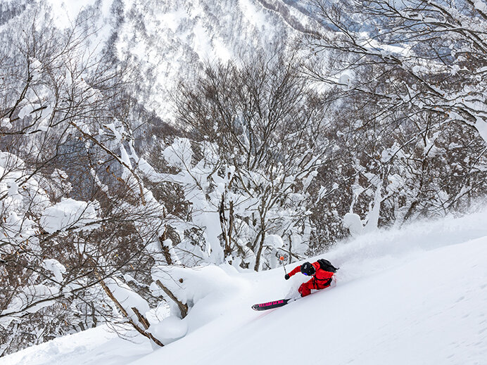車でスキー＆スノボ旅ならドラ割「ウィンターパス」首都圏・仙台・新潟出発はお得！
