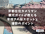 【2024年版】京都在住カメラマン・観光ガイドが教える京都の早咲き桜スポットと撮影のポイント