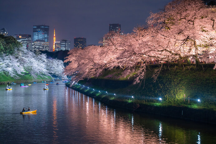 花の季節が到来！「桜まつり」「夜桜ライトアップ」を楽しめる東京のお花見スポット4選