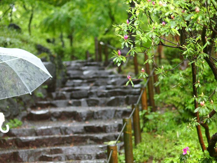 雨や曇りでぐずつく「梅雨」　期間はおよそ40日間