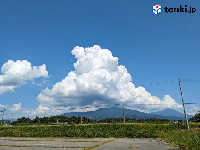 動画あり】この雲見えたら要注意！夏場に雨のサインとなる雲を紹介！【気象予報士が徹底解説】(季節・暮らしの話題 2024年06月27日) -  日本気象協会 tenki.jp