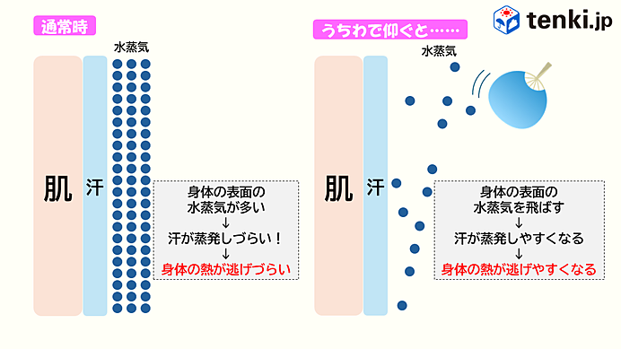 うちわは大きくゆっくり仰いだ方が良い理由とは？