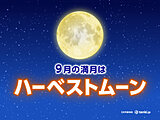 2024年9月の満月「ハーベストムーン」はいつ見える？秋の夜長に月を愛でよう