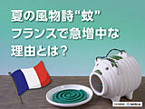 夏の風物詩“蚊”フランスで急増中な理由とは？