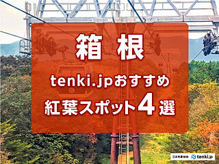 都心から最速75分！tenki.jpおすすめの箱根エリア絶景紅葉スポット4選