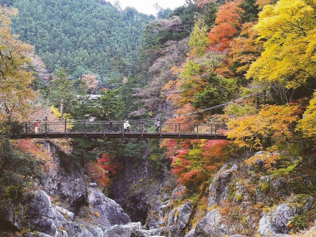 御岳渓谷【11月中旬～】