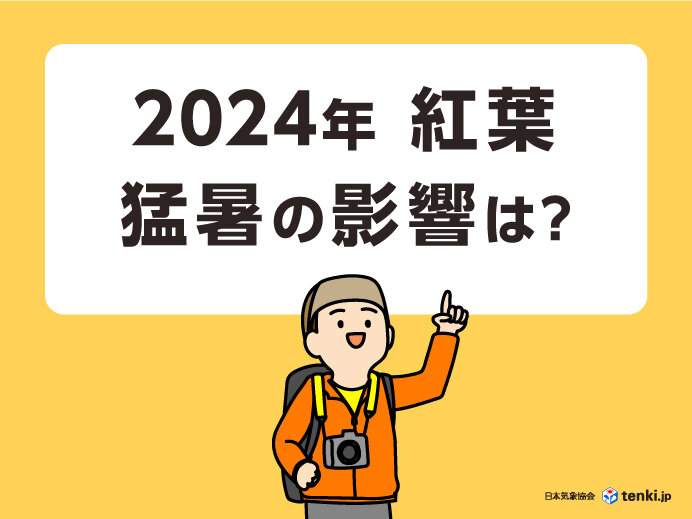 夏の猛暑は紅葉の色づきにも影響する？台風による影響についても解説