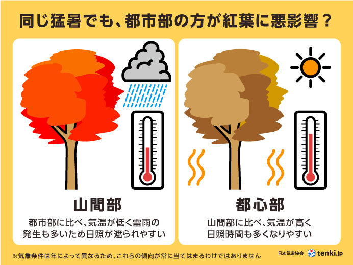 猛暑の影響は都市部の紅葉スポットに現れやすい？