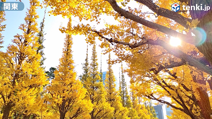 【動画あり】そろそろ紅葉シーズン到来！全国各地のおすすめ紅葉スポットをご紹介！_画像