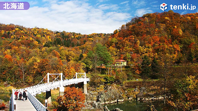 【動画あり】そろそろ紅葉シーズン到来！全国各地のおすすめ紅葉スポットをご紹介！_画像