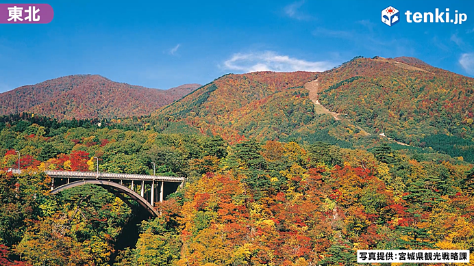 【動画あり】そろそろ紅葉シーズン到来！全国各地のおすすめ紅葉スポットをご紹介！_画像