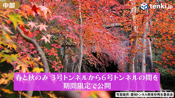 【動画あり】そろそろ紅葉シーズン到来！全国各地のおすすめ紅葉スポットをご紹介！_画像