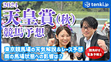 【動画あり】天皇賞(秋)2024　当日の天気解説＆競馬好き気象予報士のレース予想