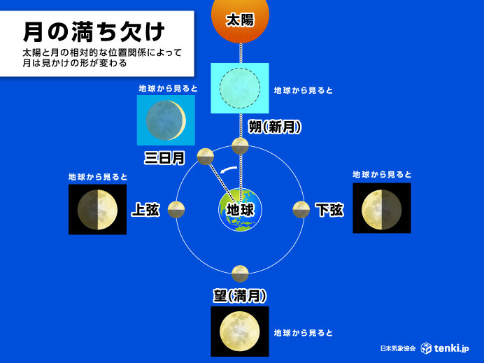 ビーバームーン」とは？ 月がまん丸に見える理由と名前の由来(季節・暮らしの話題 2024年11月13日) - 日本気象協会 tenki.jp