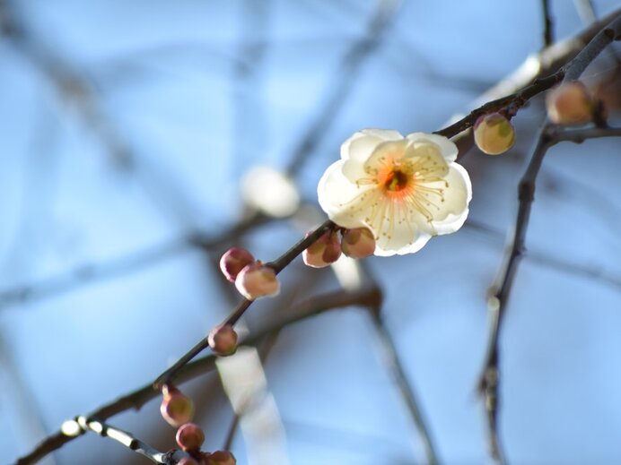 「節分」　春が待ち遠しい寒さ