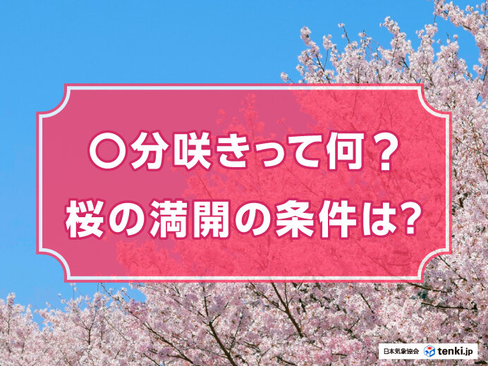 春本番！桜の満開日の定義や満開の条件とは？「○分咲き」についても解説