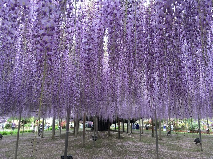 「穀雨」の時期の過ごし方