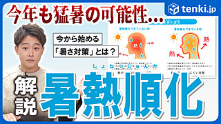 春のうちに行う暑さ対策　暑熱順化とは？　日常生活でできる効果的な行動やおすすめ食材も紹介！