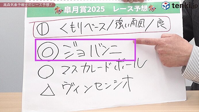 パターン①曇り・良馬場・南風が強い場合の予想