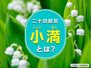 二十四節気の「小満」とは？初夏の季節の言葉や暮らしの知恵などについて解説