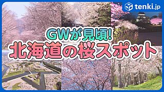 北海道の桜はゴールデンウィークが見頃！道内の桜の名所を一挙紹介！
