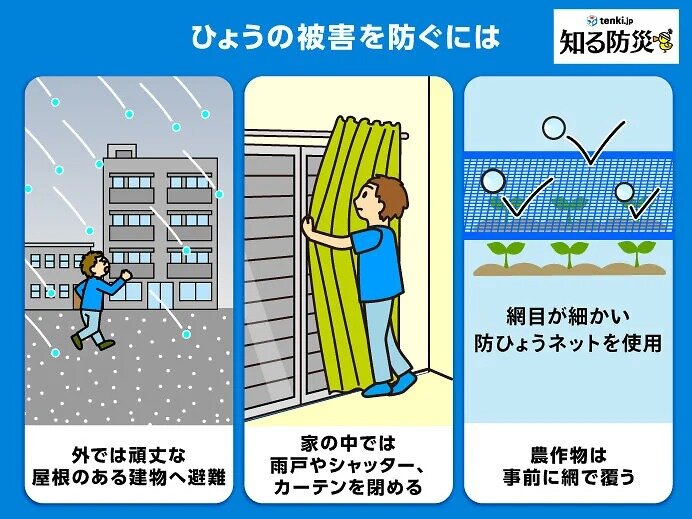 ひょうの対策・対処法（屋外や屋内、農作物の場合）
