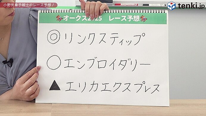 小野気象予報士のレース予想