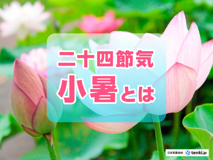 二十四節気「小暑」とは？　梅雨末期の大雨などこの時季の注意点を解説
