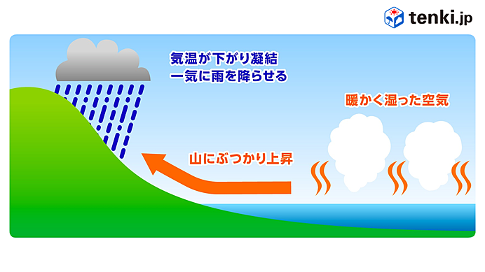静岡市と高知市は「よく晴れるし、よく雨も降る」
