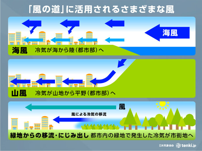 「風の道」に活用される風の例