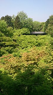 絶景かな～絶景かな！　青もみじの京都へ≪美を求める旅≫、薫風に誘われていざ！