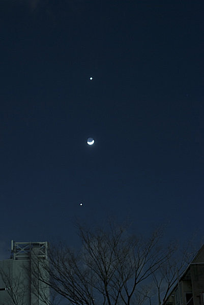 夜空を彩る「金星」「月」木星」の縦列（上から）